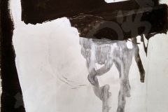 Serie abstracción Blanco y Negro